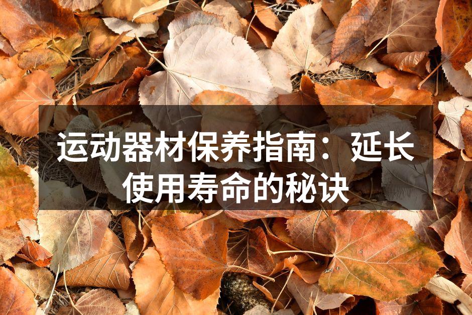 运动器材保养指南：延长使用寿命的秘诀