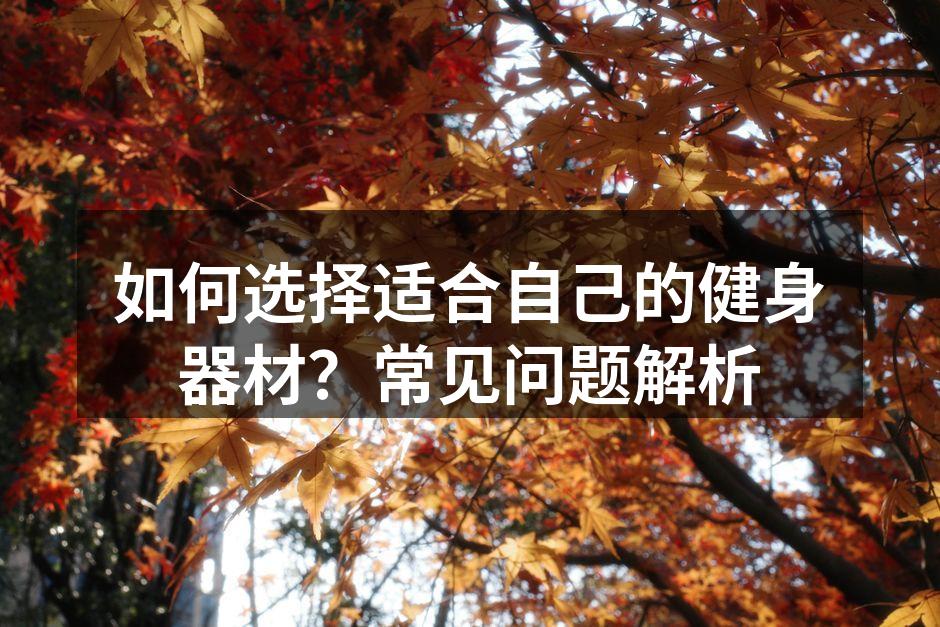 多样的健身器材供你选择