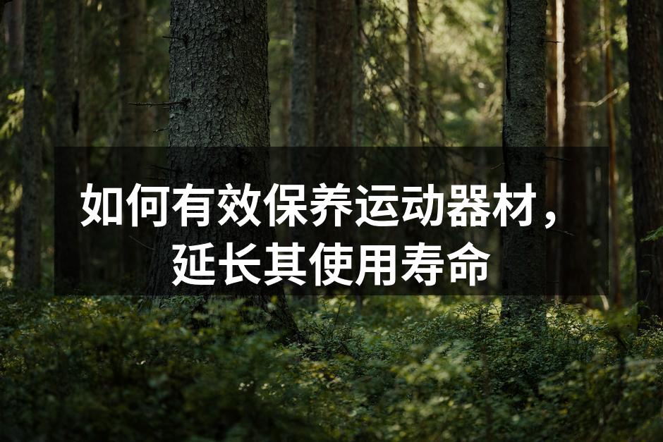 如何有效保养运动器材，延长其使用寿命