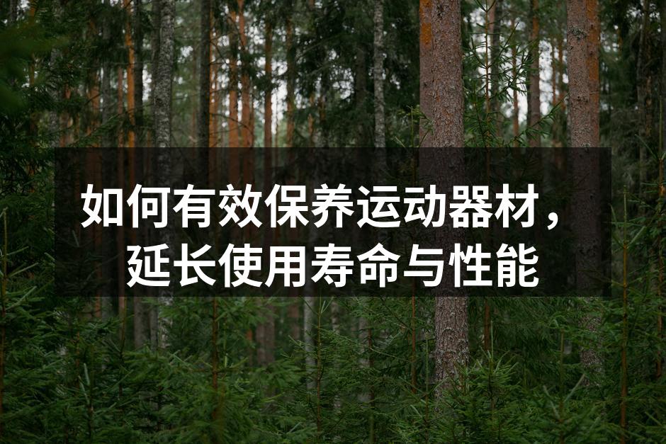 如何有效保养运动器材，延长使用寿命与性能