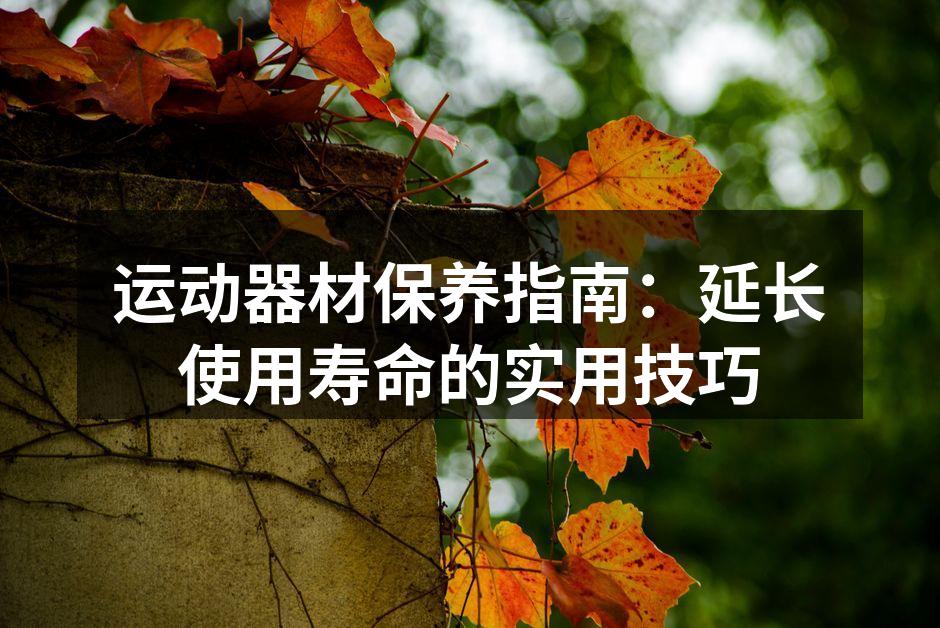 运动器材保养指南：延长使用寿命的实用技巧